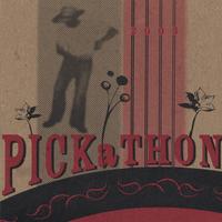 Pickathon 3